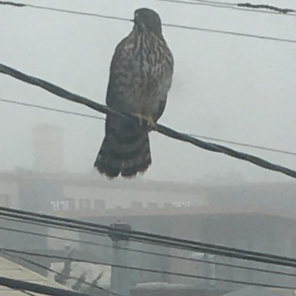 Meet your Posher, Aaron